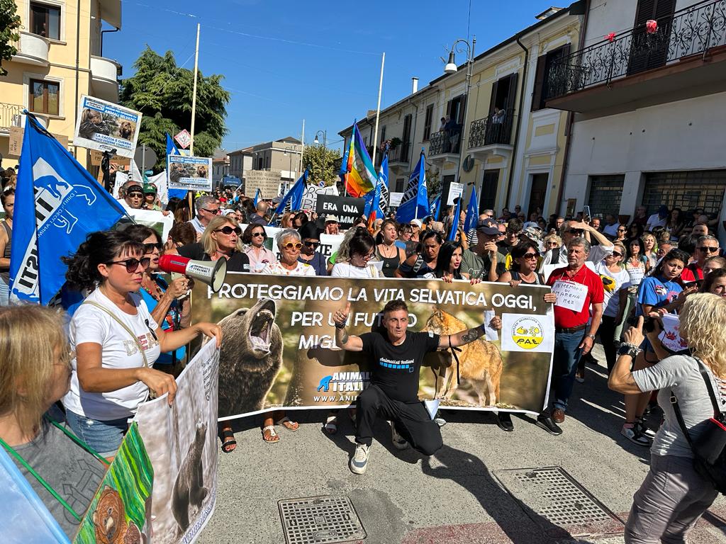 A UN ANNO DALLA SCOMPARSA DELL’ORSA AMARENA, CHIUSE LE INDAGINI SULL’UCCISIONE